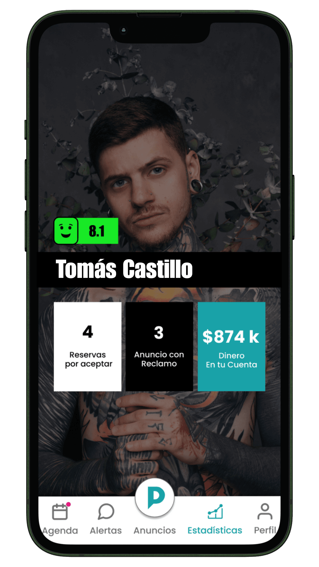 Perfil Profesional Integral